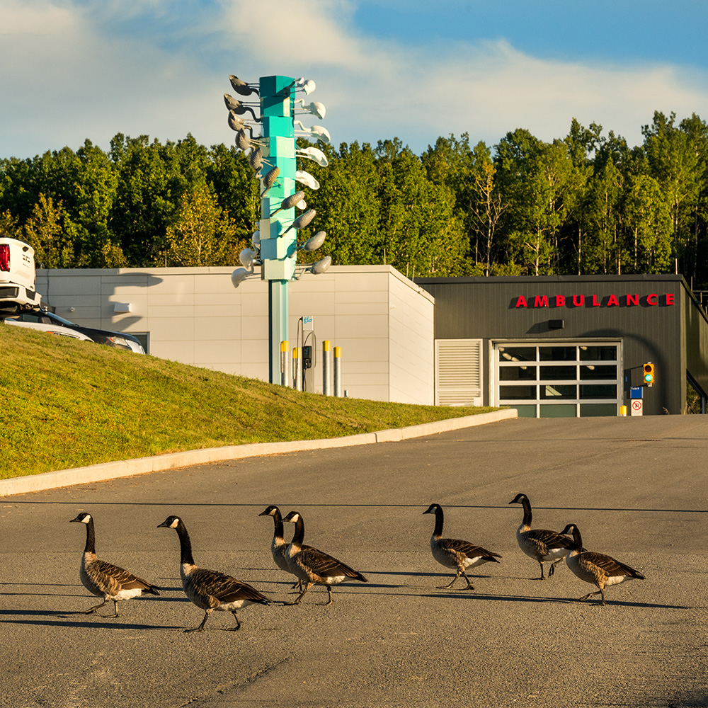 Cooke-Sasseville_CH_Gaspe_08-2022_DSC_4019W