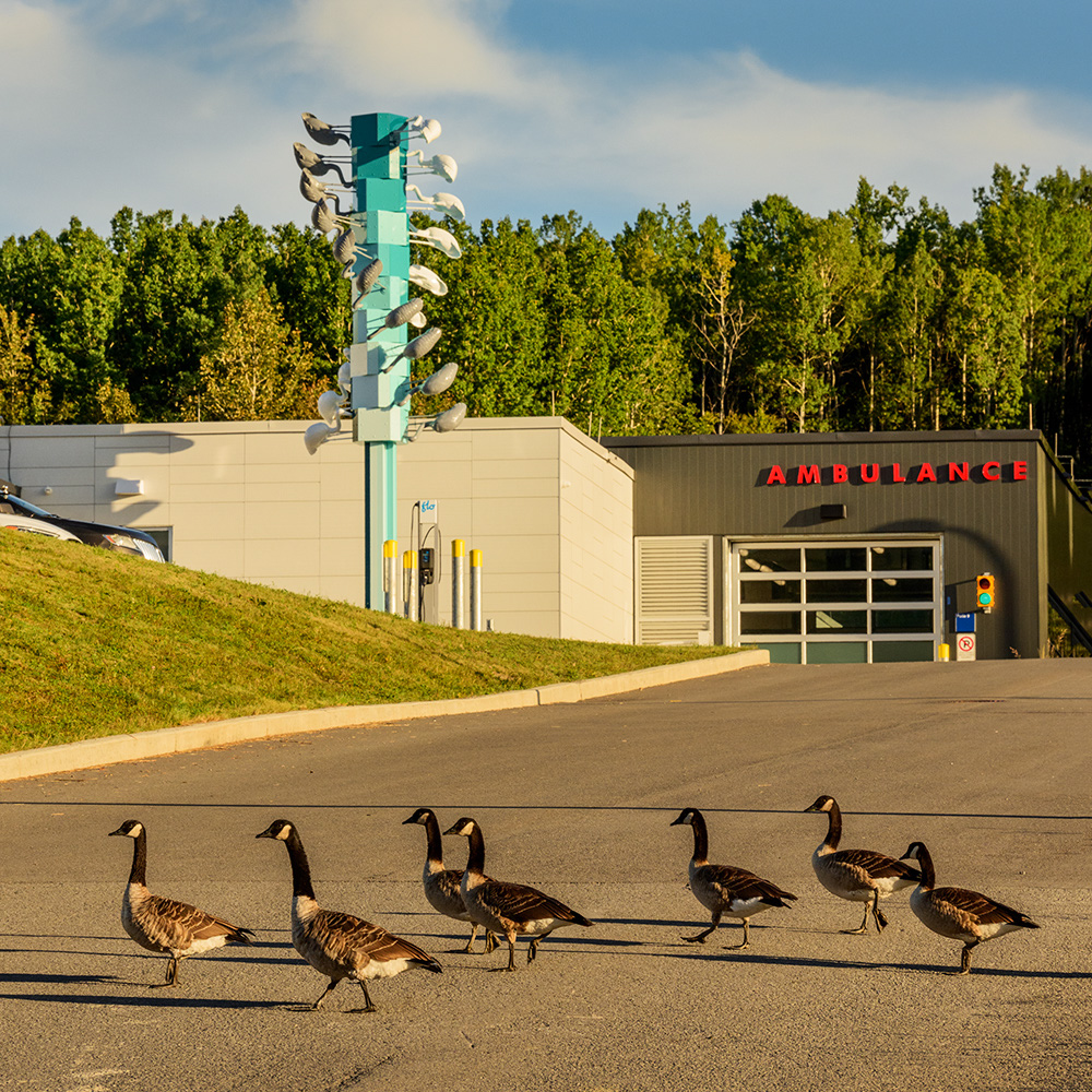 Cooke-Sasseville_CH_Gaspe_08-2022_DSC_4017W