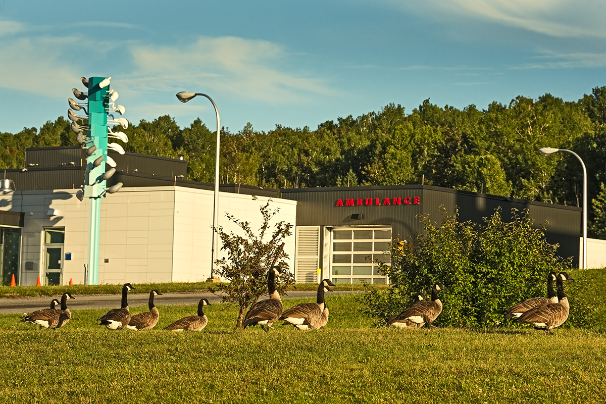 Cooke-Sasseville_CH_Gaspe_08-2022_DSC_4027W