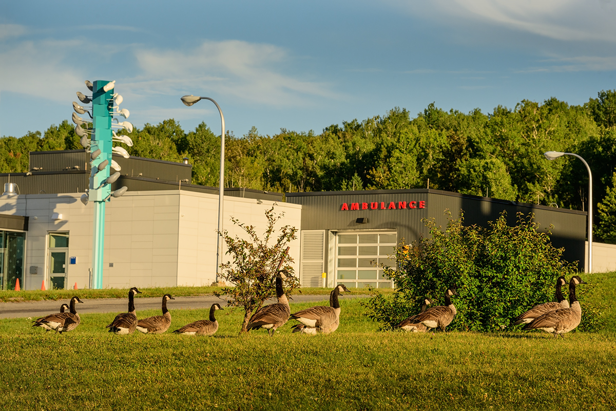 Cooke-Sasseville_CH_Gaspe_08-2022_DSC_4028W